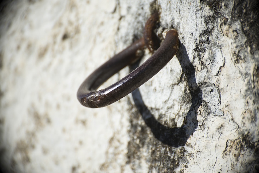 Alianzas para Extremadura verde